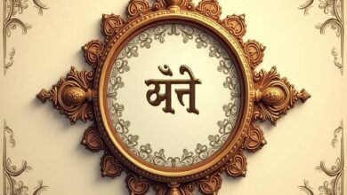 How to Use Shala Darpan Raj for School Management & Student Tracking